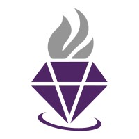 VIPIGNITE logo - Similar company to Vip Talent Connect