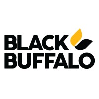 Black Buffalo 3D Corporation logo - Similar company to Xtreee, The Large-Scale 3D