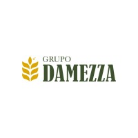 Grupo Damezza logo - Similar company to Rawtech Engenharia