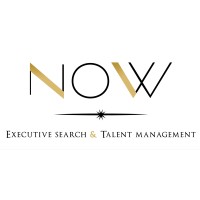 Now Consulting logo - Similar company to Phileum