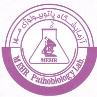 Mehr laboratory logo - Similar company to Medalytik