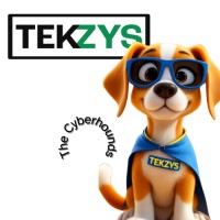 TEKZYS logo - Similar company to Mint-Technologies