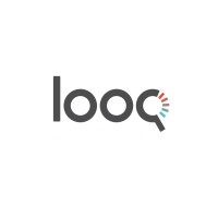 Looq AI logo - Similar company to Icarus Rt, Inc.