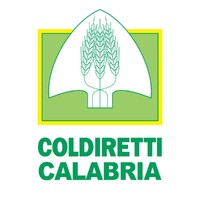 Coldiretti Calabria logo - Similar company to Techcoach Project