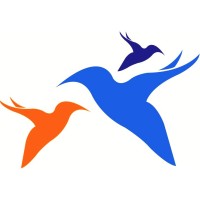 Bluebird Support Services Limited