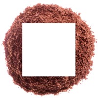 Dachverband Lehm e.V. logo - Similar company to Claytec – Lehmbaustoffe