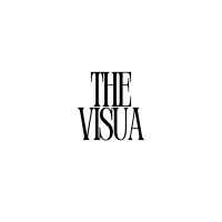 The Visua logo - Similar company to D8Taops