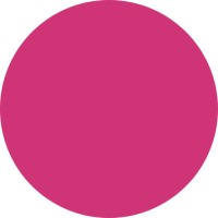 Netalia logo - Similar company to It&Net Services