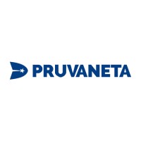 Pruva Neta logo - Similar company to Sst Turkey
