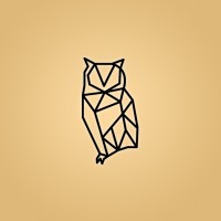 WISE EDUCAÇÃO EXECUTIVA logo - Similar company to Ebdi Academy