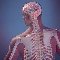 UNC Neurosurgery logo - Similar company to Reliant Physicians