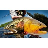 Qingdao BZ Fishing Tackle Co. logo - Similar company to Smrt1