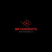 Metainsights BV logo - Similar company to Mite Solutions