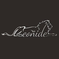 LEONIDE INTERIORS LTD logo - Similar company to Square Circles Group
