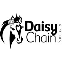 Daisy Chain Sanctuary logo - Similar company to Asennda