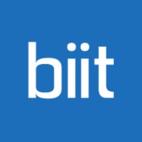 BIIT Consulting logo - Similar company to Biits