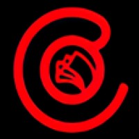 CMSAE Creditors Management Solutions Private Limited logo - Similar company to Vcall Global Services Pvt. Ltd.