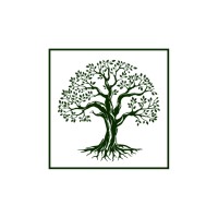 Willow Oak Capital logo - Similar company to Sportsbook Economy