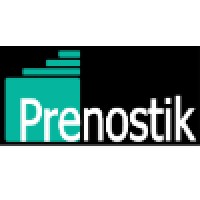 Prenostik logo - Similar company to 4Psite