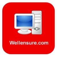 Wellensure Services logo - Similar company to Wellins Inc