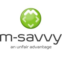 m-savvy logo - Similar company to Boomrock Lodge