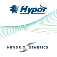 Hypor España logo - Similar company to Hendrix Genetics Swine