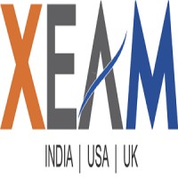 XEAM VENTURES PVT LTD logo - Similar company to T&M Services Consulting Pvt Ltd