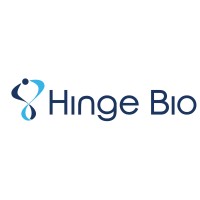 Hinge Bio logo - Similar company to Hinge Therapeutics