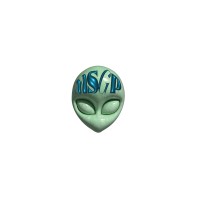 Skate Gals & Pals logo - Similar company to Dot Dot Dot Property Guardians