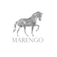 Marengo Ventures logo - Similar company to Nabta Advisory