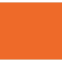 Surge International logo - Similar company to Mangaroo Beverages