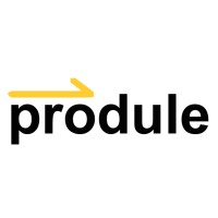 Produle logo - Similar company to Mockflow