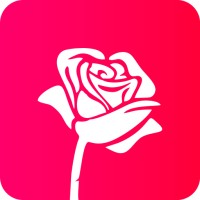 Rose Design logo - Similar company to Wireworks