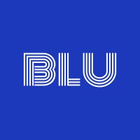 BLUSOFT logo - Similar company to Blusoft