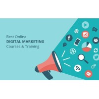 Webbizz Infosolutions Pvt. Ltd.