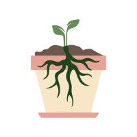 Rooted Healing Plants