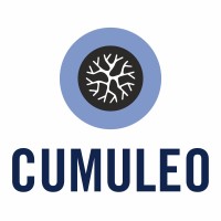 Cumuleo - La Transparence est le carburant de la démocratie logo - Similar company to Kafei Brussels