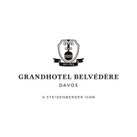 Steigenberger Icon Grandhotel Belvédère logo - Similar company to Multi Digital