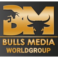 Bulls Media Worldgroup logo - Similar company to Skiller-Pro