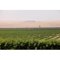 Agriculture in Saudi Arabia (Chemicals, Nutrients and Fertilzers) بيت المزارع logo - Similar company to Gtc