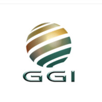 Golden Global Insurance logo - Similar company to Nekologistics S.A.S