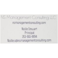 NS Management Consulting, LLC logo - Similar company to Gbmc Incorp (Global Bank Management Consulting)