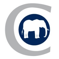 RIC Consulting logo - Similar company to Ris.Dev