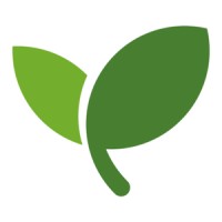 DebtSafe logo - Similar company to Rainmaker