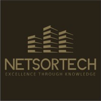 Netsortech logo - Similar company to Synapses Iom Llc