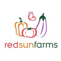 Red Sun Farms México logo - Similar company to Pullsale Btl