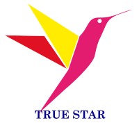 True Star Services