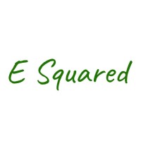 E Squared Strategy & Management Consulting