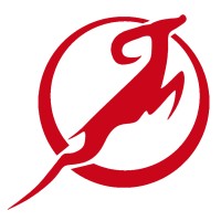 Fast Forward Advisors logo - Similar company to Codamation / Monedero Online