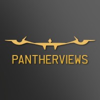 PANTHERVIEWS logo - Similar company to Deglia